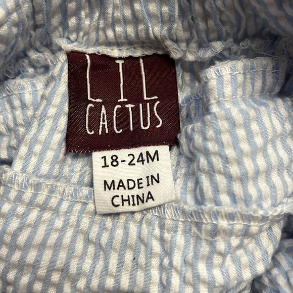 Lil Cactus Spring Easter 🐰 Romper Seersucker Bunny Size 18-24 Months - Picture 5 of 7